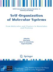 Self-Organization of Molecular Systems From Molecules and Clusters to Nanotubes and Proteins,9048124824,9789048124824