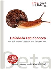 Galeodea Echinophora,6136246953,9786136246956