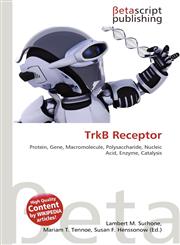 TrkB Receptor,6137570932,9786137570937