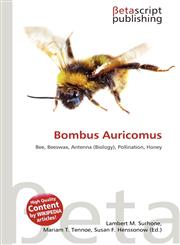Bombus Auricomus,6136101610,9786136101613