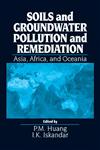Soils and Groundwater Pollution Remediation,1566704529,9781566704526