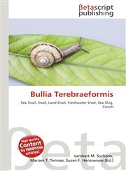 Bullia Terebraeformis,6137558797,9786137558799