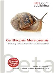 Cerithiopsis Morelosensis,6136250039,9786136250038
