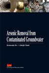 Arsenic Removal from Contaminated Groundwater Using Laterite-Based Adsorption Technique,8179933830,9788179933831