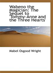 Wabeno the Magician The Sequel to 'Tommy-Anne and the Three Hearts',1117548775,9781117548777