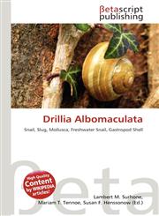 Drillia Albomaculata,613635523X,9786136355238