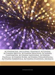 Articles On Actinidiaceae, including Kiwifruit, Actinidia, Actinidia Arguta, Actinidia Deliciosa, Actinidia Chrysantha, Actinidia Laevissima, Actinidia Pilosula, Actinidia Rudis, Actinidia Stellatopilosa, Actinidia Suberifolia,1244758140,9781244758148
