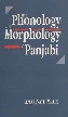 The Phonology and Morphology of Panjabi 1st Edition,8121506441,9788121506441