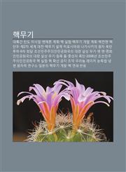 Haegmugi Daelyuggan Tando Misail, Maenhaeteun Gyehoeg, Haeg Silheom, Haegmugi Gaebal Gyehoeg, Haegjeonjaeng, Haegtandu, Je2Cha Segye Daejeon,1233942190,9781233942190