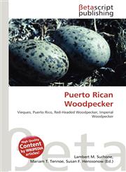 Puerto Rican Woodpecker,6134820032,9786134820035