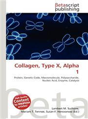 Collagen, Type X, Alpha 1,613603509X,9786136035093