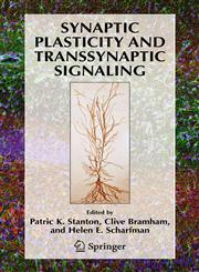 Synaptic Plasticity and Transsynaptic Signaling 1st Edition,038724008X,9780387240084