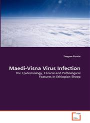 Maedi-Visna Virus Infection,3639313380,9783639313383