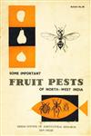 Some Important Fruit Pests of North-West India