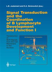 Signal Transduction and the Coordination of B Lymphocyte Development and Function I Transduction of BCR Signals from the Cell Membrane to the Nucleus,354066002X,9783540660026