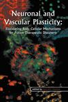 Neuronal and Vascular Plasticity Elucidating Basic Cellular Mechanisms for Future Therapeutic Discovery,140207400X,9781402074004