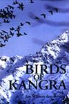 Birds of Kangra 1st Published,8190129740,9788190129749