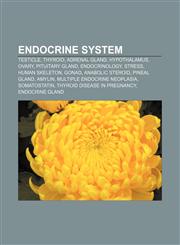 Endocrine system Testicle, Thyroid, Adrenal gland, Hypothalamus, Ovary, Pituitary gland, Endocrinology, Stress, Human skeleton, Gonad,1157450199,9781157450191