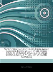 Articles On Arctic Cetaceans, including Killer Whale, Narwhal, Beluga Whale, White-beaked Dolphin, Sei Whale, Cumberland Sound Beluga, Bowhead Whale, List Of Arctic Cetaceans,1243188855,9781243188854