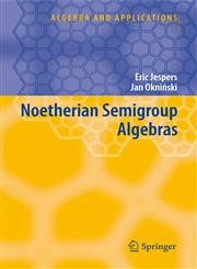 Noetherian Semigroup Algebras,1402058098,9781402058097