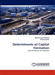 Determinants of Capital Formation,3843387923,9783843387927