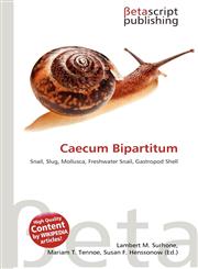 Caecum Bipartitum,6136217155,9786136217154