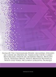 Articles On Fauna Of The Chihuahuan Desert, including Steller's Jay, Green Jay, Brown Jay, Tamaulipas Crow, Clark's Nutcracker, Pinyon Jay, Altamira Oriole, Muscovy Duck, Hooded Oriole, White-breasted Nuthatch, White-eyed Vireo,1244402311,9781244402317