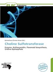 Choline Sulfotransferase,6139395836,9786139395835