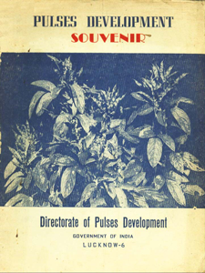 Pulses Development : Souvenir