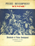 Pulses Development : Souvenir