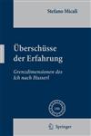 Überschüsse der Erfahrung Grenzdimensionen des Ich nach Husserl,1402083882,9781402083884