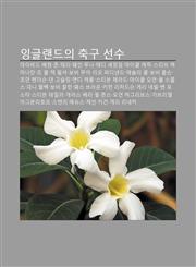 Ing-Geullaendeuui Chuggu Seonsu Deibideu Bekeom, Jon Teli, Wein Luni, Tedi Syeling-Eom, Maikeul Kaelig, Seutibeu Maegmanaman, Jo Kol,1233938231,9781233938230