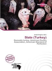 Slate (Turkey),6139934206,9786139934201