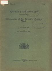 Disintegration of Rice Grains by Means of Alkali