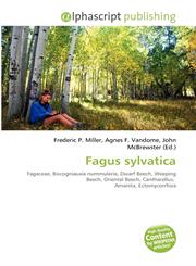 Fagus sylvatica,6132812296,9786132812292