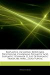 Articles On Bioplastics, including Biopolymer, Polyethylene, Cellophane, Polylactic Acid, Bioplastic, Polyamide 11, List Of Bioplastic Producers, Mirel, Zelfo, Plantic,1243991550,9781243991553