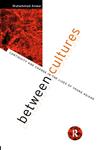 Between Cultures Continuity and Change in the Lives of Young Asians,0415046483,9780415046480
