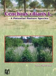 Cenchrus Ciliaris L. A Potential Pasture Species,8172333528,9788172333522