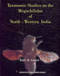 Taxonomic Studies on the Megachilidae of North-Western India Insecta, Hymenoptera, Apoidea 1st Reprint,8172332042,9788172332042