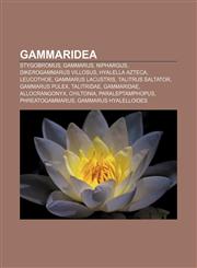 Gammaridea Stygobromus, Gammarus, Niphargus, Dikerogammarus villosus, Hyalella azteca, Leucothoe, Gammarus lacustris, Talitrus saltator,1155844459,9781155844459