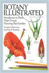 Botany Illustrated Introduction to Plants, Major Groups, Flowering Plant Families 2nd Edition,0387288708,9780387288703