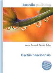 Bactris Nancibensis,5512215647,9785512215647