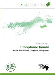 Lithophane lamda,6137767043,9786137767047