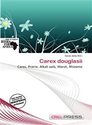 Carex douglasii,6139515424,9786139515424