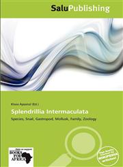 Splendrillia Intermaculata,6138586662,9786138586661
