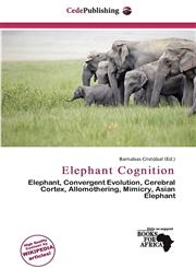 Elephant Cognition,6201214240,9786201214248