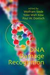 DNA Damage Recognition 1st Edition,0824759613,9780824759612