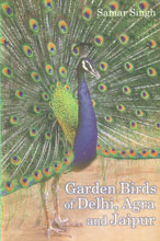 Garden Birds of Delhi, Agra and Jaipur 1st Published,8183280765,9788183280761