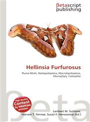 Hellinsia Furfurosus,6136498340,9786136498348