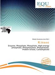 Kinase,6200003866,9786200003867